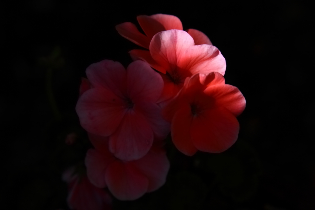 2012 05 19 3533